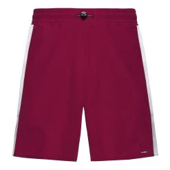 Head Performance Shorts Men - Berry, White