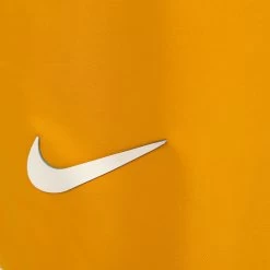 Nike Roger Federer Court Flex Ace Shorts Men - Golden Yellow, White -Sports Supplies Shop 47783000 31